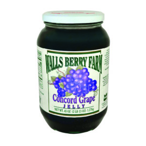concord-grape